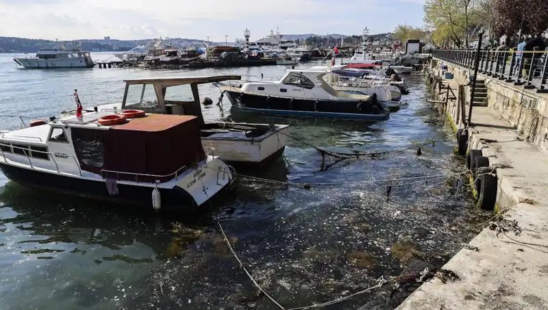 İstanbul'da Müsilaj Alarmı: Marmara Denizi Yeniden Tehlike Altında!