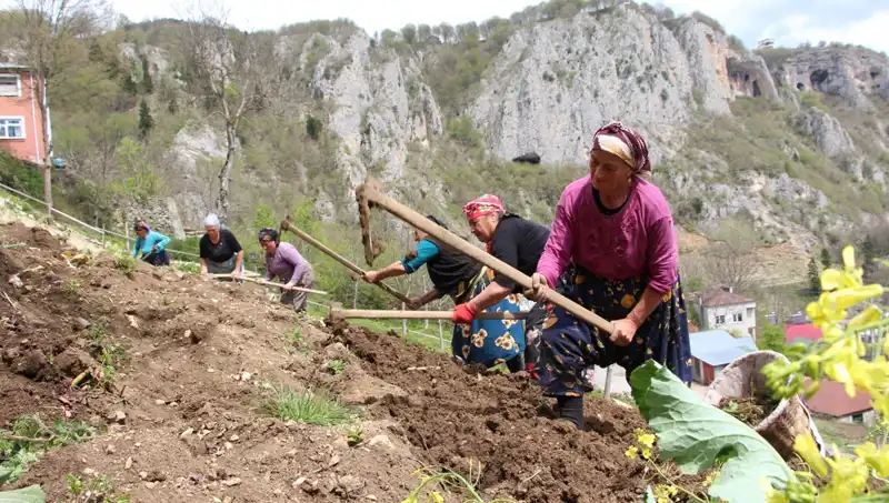 Zorlu Mesai Başladı: Sırtında Sepetler, Elinde Kazma Olanların Hikayesi