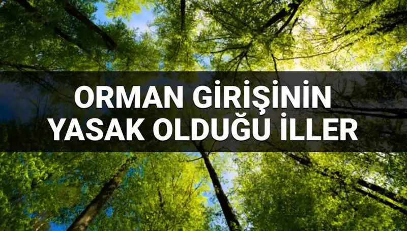 2025 Yılı İçin Ormana Giriş Yasağı Olan İller Açıklandı!