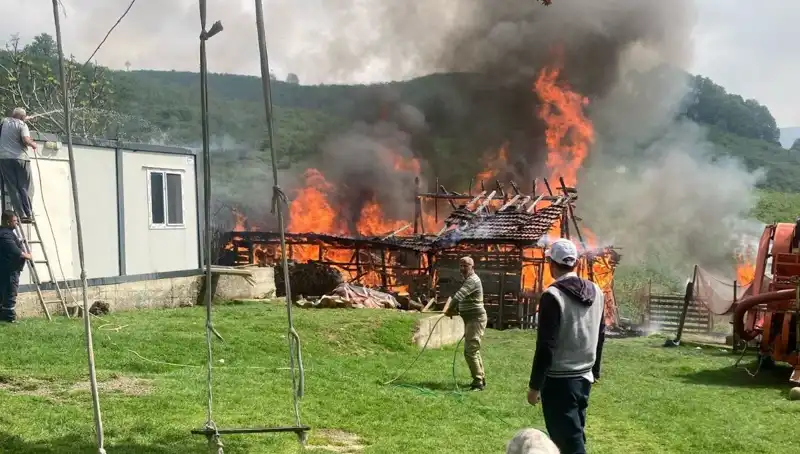 Akçakoca'da Korkutan Yangın: Samanlık Küle Döndü, Sebepler Belirsiz