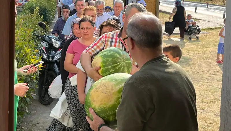 Tarlada Kaldı: Hasat Döneminin Bedava Ürünleri Nereye Gidiyor?