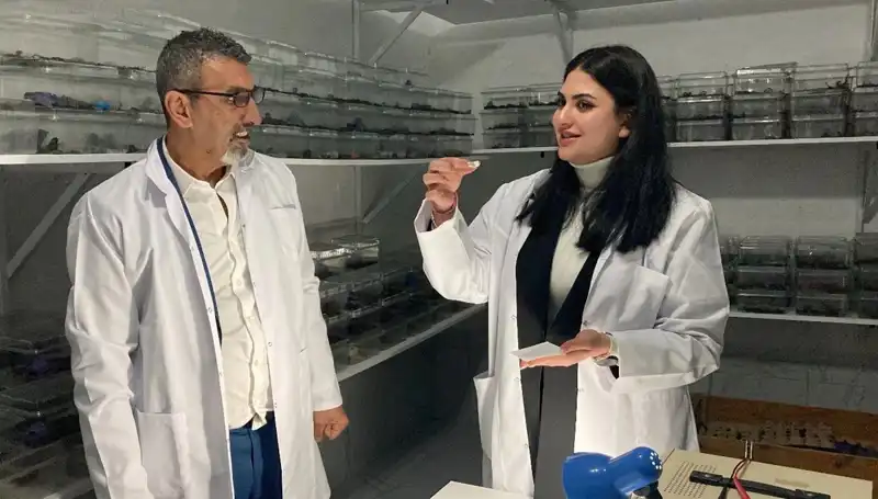 Akrep Zehri ve Şekerin Şaşırtıcı Buluşması: Lezzetli Bir Deneyim