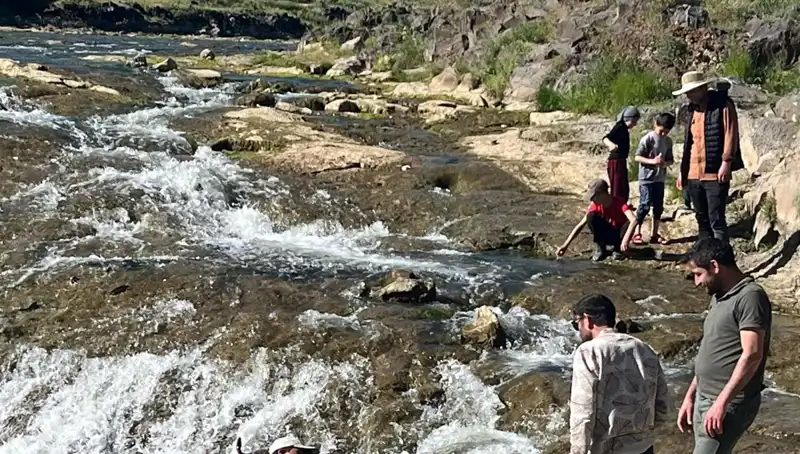 İnci Kefalinin Göçü: Doğanın Muazzam Gösterisi ve Turist Çekimi