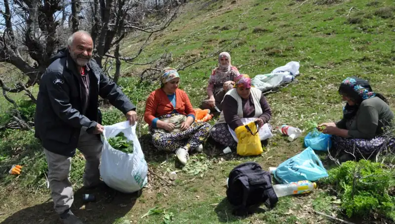 5 Saatlik Yürüyüşle Toplanan Eşsiz Zenginlik: Kilo Başına 250 Lira!