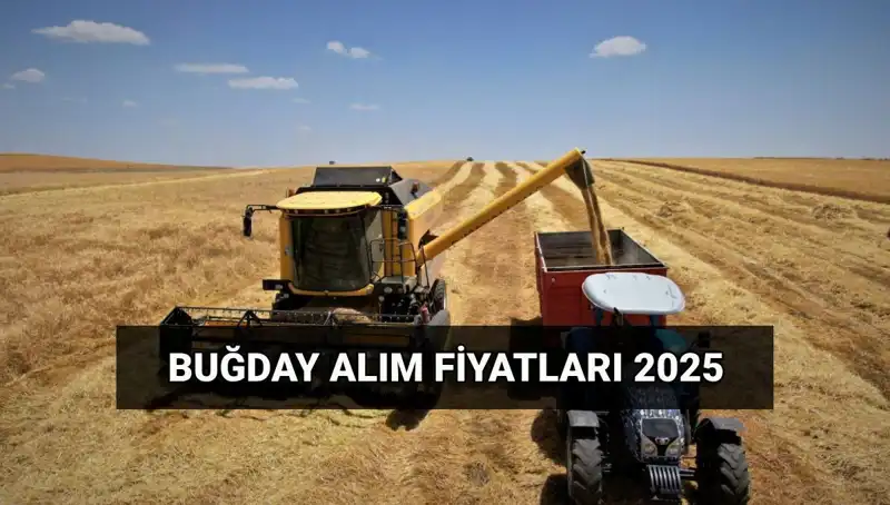 2025 Hububat Alım Ücretleri Yatış Tarihleri ve Fiyatları Açıklandı