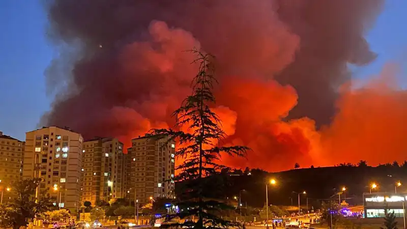 Bursa’da Yangın Alarmı: Şehirde Korkutan Tahribat!