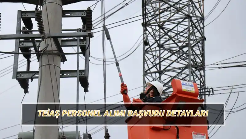 TEİAŞ Personel Alımı: Hangi Branşlarda İşçi Alınacak ve Başvuru Süreci Nedir?