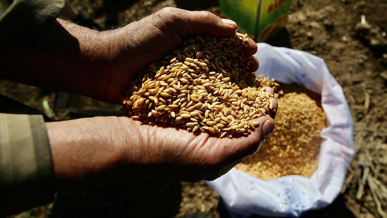Ata Tohumları Tarım Kredi Marketlerinde!