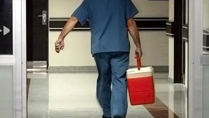 Organ Bağışında Dönem Değişiyor: e-Devlet ve e-Nabız ile Kolaylaştırılıyor