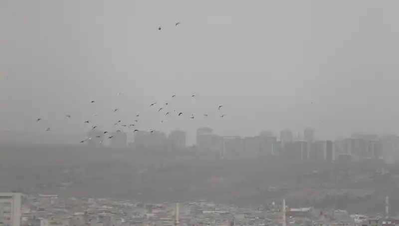 Şanlıurfa’da Toz Bulutu Alarmı: Görüş Mesafesi Azaldı!
