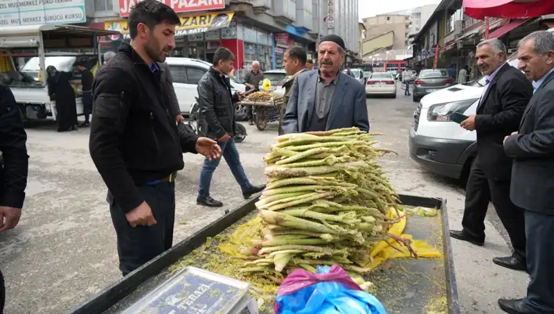 Dağlık Alanlarda Toplanan Şekerler: Kanser ve Mide Hastalıklarına İyi Geldiği İddia Ediliyor