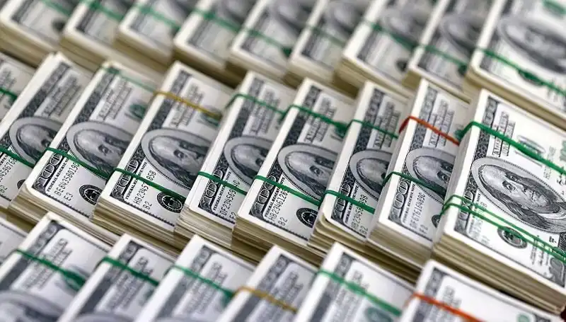 Doların Hızla Yükselişi: Ekonomistler Uyarıyor!