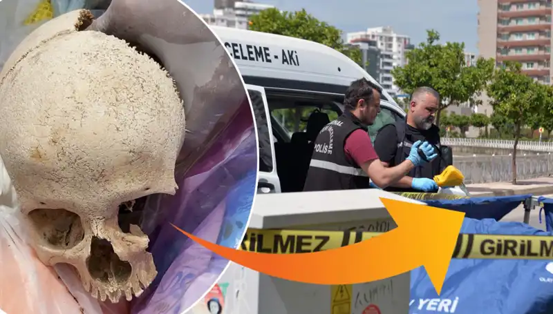 Sitenin Çöpünden Çıkan Kafatası: Gizemli Olayda Uzman Doktor Gözaltında!