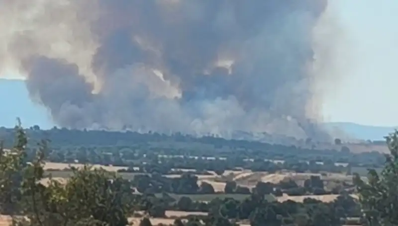 Komşudaki Orman Yangını Edirne'yi Küllerle Kucakladı: Felaketin Boyutları Ne?