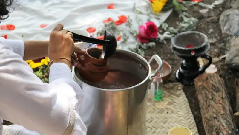 Ayahuasca: Gizemli Şifa ve Ruhsal Keşif Yolu