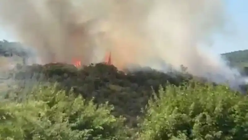 İstanbul'da Orman Yangını! Vatandaşlar Güvenli Bölgelere Tahliye Edildi