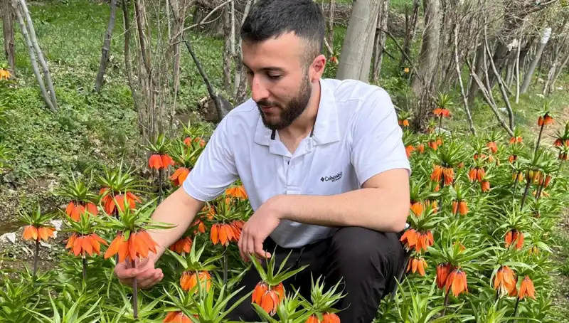 Ağlayan Gelin: 20 Günlük Ömrü ve Yüksek Cezasıyla İlgili Her Şey