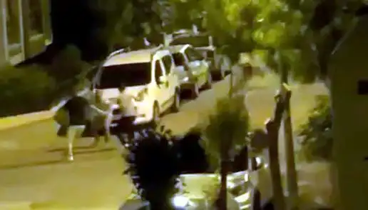 Avcılar’da Üç Kişinin Saldırısına Uğrayan Vatandaşı Cesur İnsanlar Kurtardı
