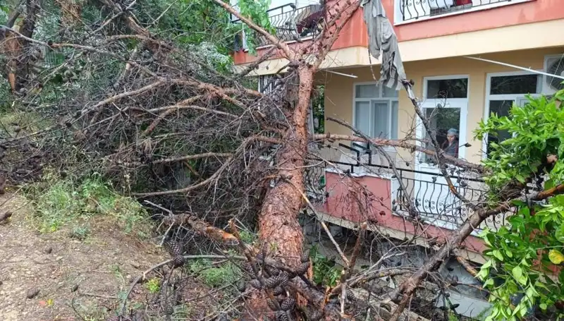 Yağmurun Getirdiği Felaket: Bina Devrildi, Olay Yerinden Görüntüler Şok Etti!