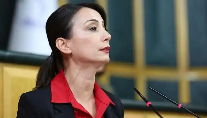 Öcalan’ın Silah Bırakma Çağrısı ve DEM Parti’nin Siyasi Tur Planları