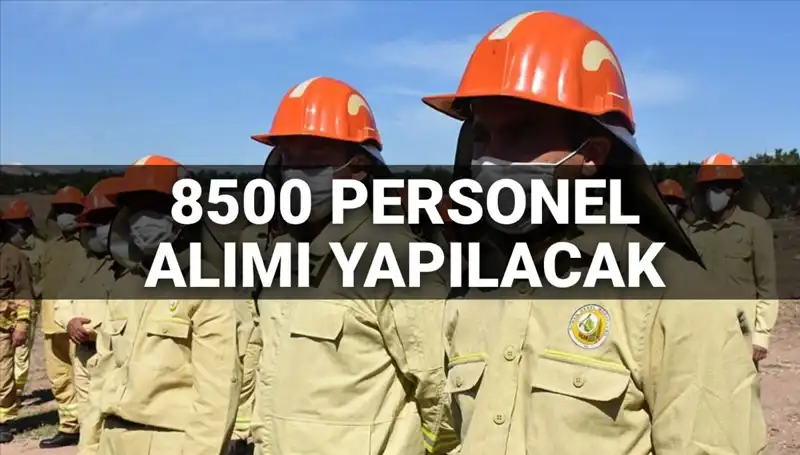 2025'te Tarım ve Orman Bakanlığı 8500 Personel Alımı: Detaylar Açıklandı!