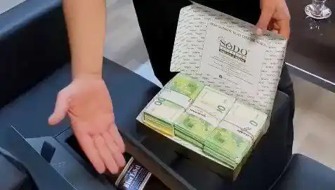 Manavgat Belediyesi'ne Yönelik Büyük Operasyon: Baklava Kutularında Saklanan Avrolar Ortaya Çıktı!