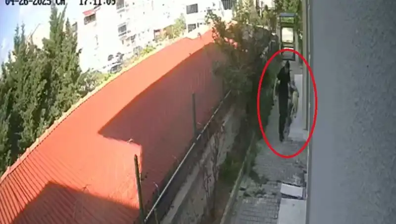 Veteriner Doktorun Şok Eden Suçlaması: Evdeki Köpekleri Parçaladı!