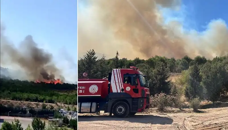 Gebze'de Orman Yangını: Korkutan Alevler Kontrol Altına Alındı