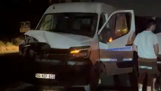 İstanbul'da Manda Kazası: Üç Kişi Yaralandı, Olay Yerindeki Panik Gözlemlendi