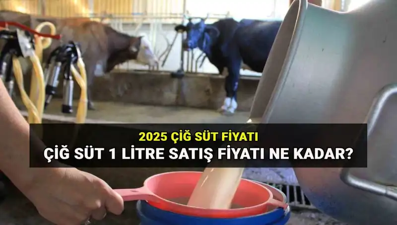 2025’te Çiğ Süt Fiyatları Tavan Yaptı: Ulusal Süt Konseyi’nin Açıklamaları
