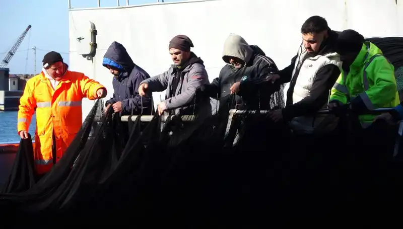 Denizlerde Hamsi Avı Sonunda: Tekneler Erken Paydos Ediyor