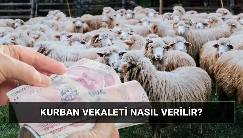 Vekaletle Kurban Kesimi: 2025’te Diyanet'in Belirlediği Bedel ve Süreç