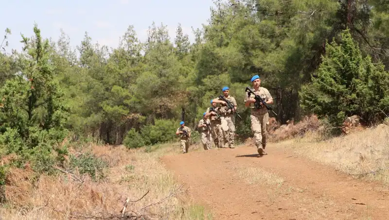 Kilis'te Orman Yangınları İçin Alınan Önlemler: Son Durum ve Beklentiler