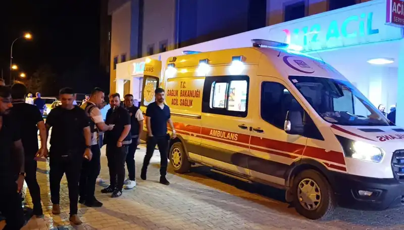 Kardeşini Koruma Çabası, Facia ile Sonuçlandı: Olayın Ardındaki Gerçekler