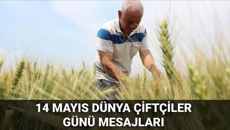 14 Mayıs Dünya Çiftçiler Günü: Emekleriyle Toprağa Can Verenlere Anlamlı Mesajlar
