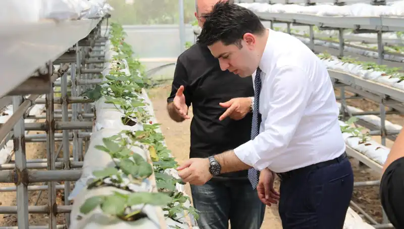 Damat Çatlatan Lezzet: Topraksız Yerde Çiçek Açan Yenilikçi Tarım