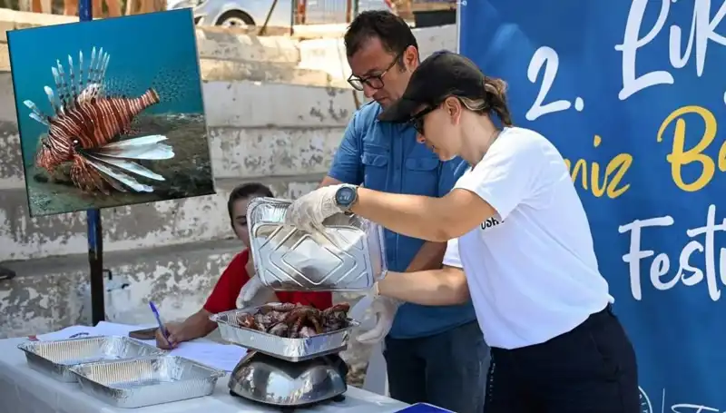 Antalya'da İstilacı Aslan Balığı Avlama Yarışması ile Deniz Ekosistemini Koruyun