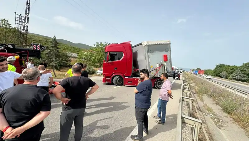 Seyir Halindeyken Arı Soktu: Trafik Kilitlendi, Şoför Şokta Kaldı!