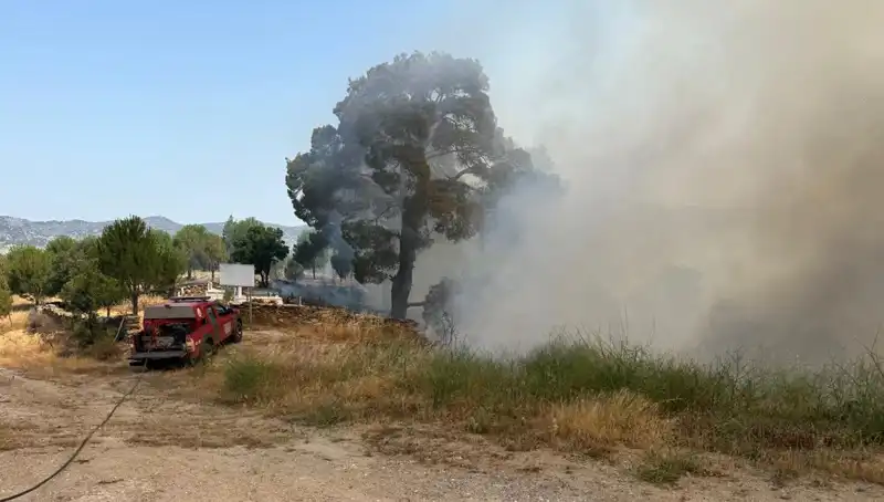 Muğla'da Dev Yangın: Doğanın Gözyaşları ve Kurtarma Mücadeleleri