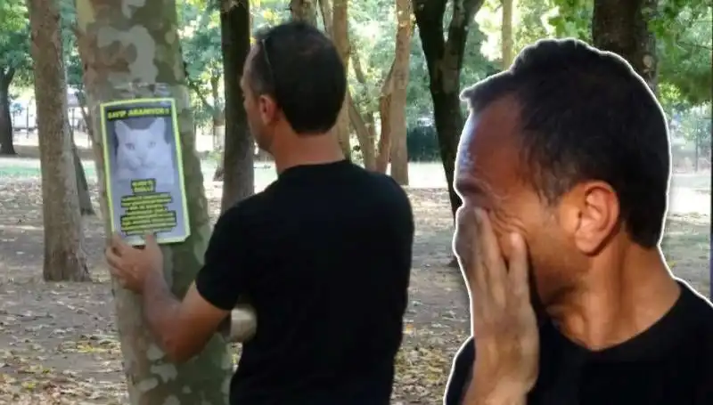 Kaybolmuş Kedi İçin Aile Çağrıda Bulundu: 10 Bin Lira Ödül Verilecek!