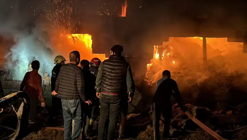 Bolu'da Ürkütücü Ahır Yangını: Birçok Hayvan Hayatını Kaybetti