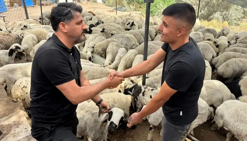 Kurbanlık Alırken Dikkat: Tuz ve Sumakla Manipülasyona Dikkat Edin