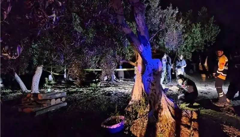 Çiftlikteki Şok Edici Baltalı Vahşette İlk Tutuklama Gerçekleşti!