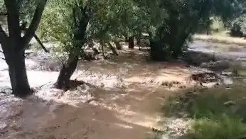 Mersin'de Aniden Bastıran Sağanak: Sele Dönüşen Yağışlarla Şehir Savaş Halinde!