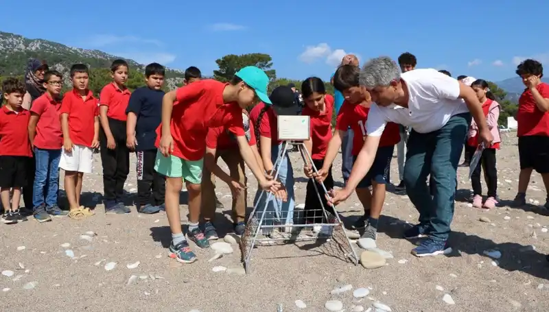 Kemer'de Caretta Caretta Yasakları Başladı: Aksi Takdirde Büyük Cezalar Bekliyor