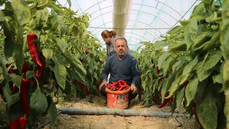 Fiyat Artışı Şok Etti: 50 TL Olan Ürün Artık 80 TL!