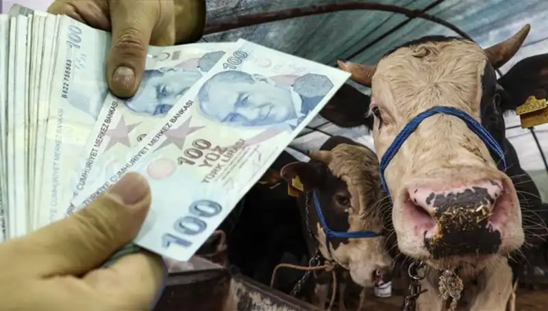 Bayram Öncesi Memur ve Emekli Maaşları Erken Mi Ödenecek?