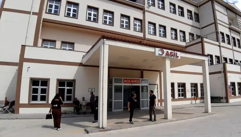 Bolu'da Tartışmalı Ayı Avı Kararı: Doğayı Koruma mı, Kontrol Mü?