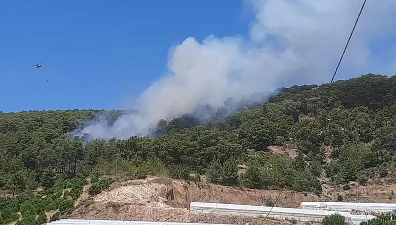 Kumluca'da Yangın Alarmı: Ormanlık Alan Alev Alev Yandı