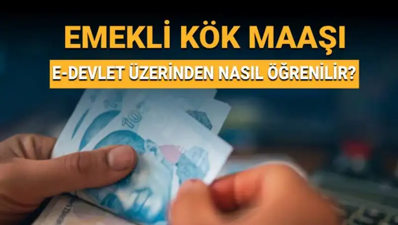Çalışanlar için Kök Maaş Öğrenme Yöntemleri ve Hesaplama Rehberi